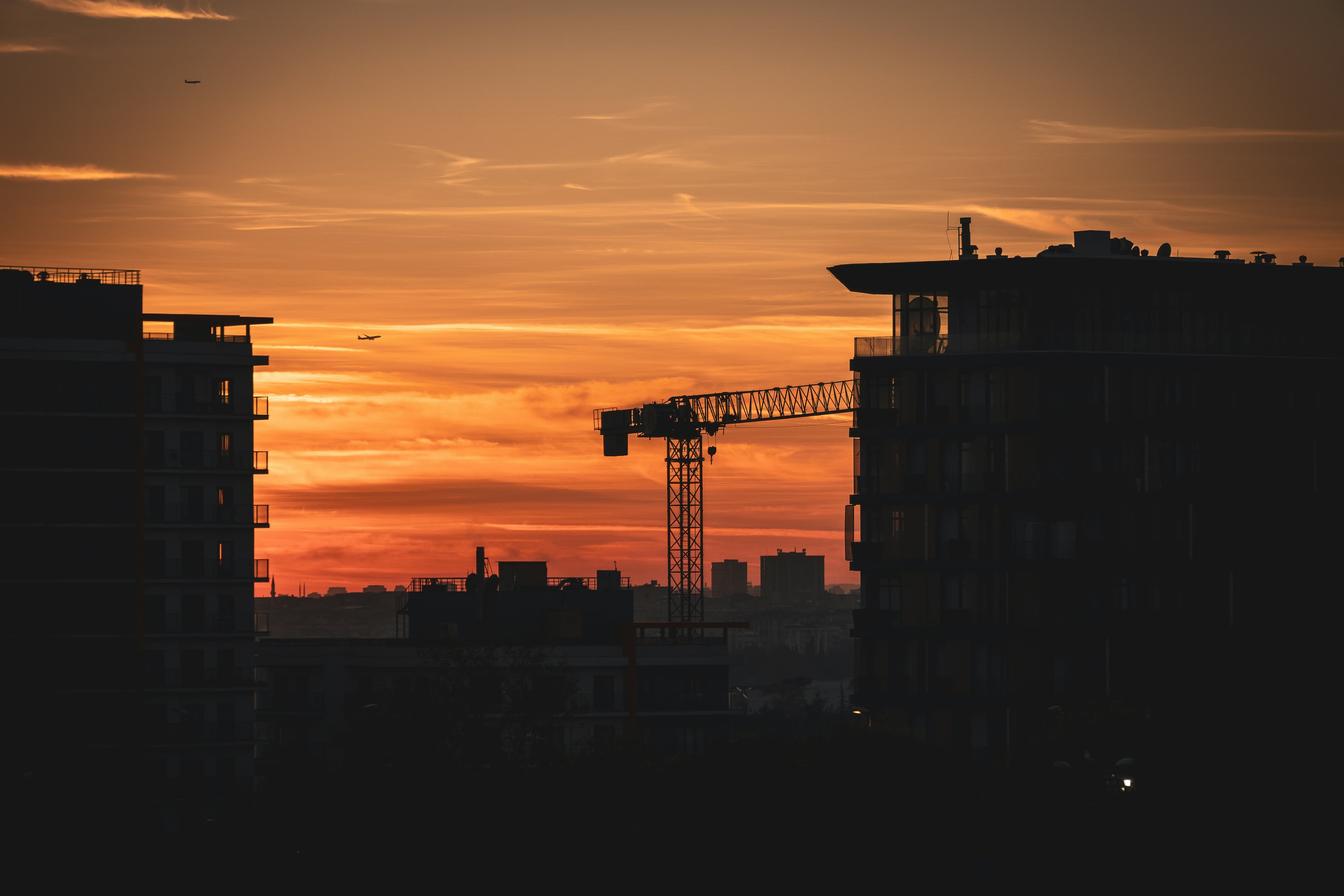 اختبارات الركام